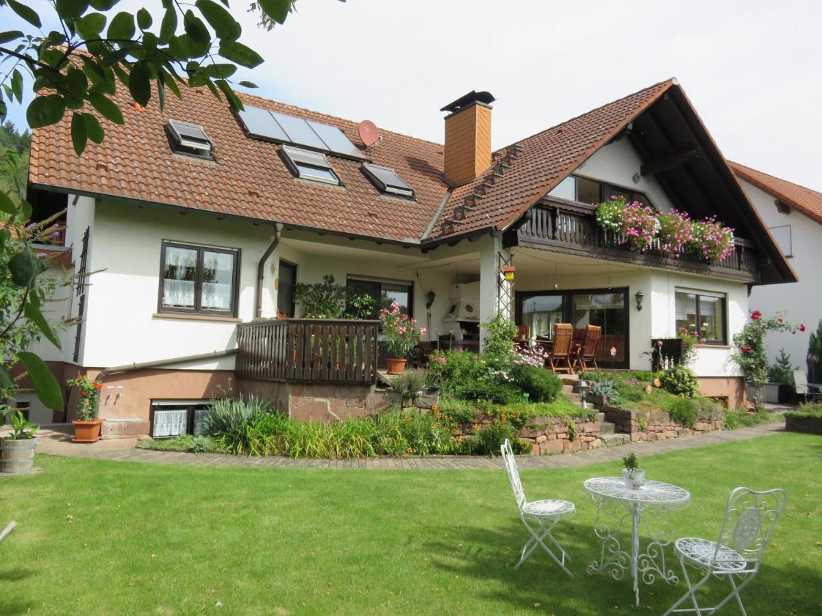 Ferienwohnungen Haus Albert Grossheubach Экстерьер фото