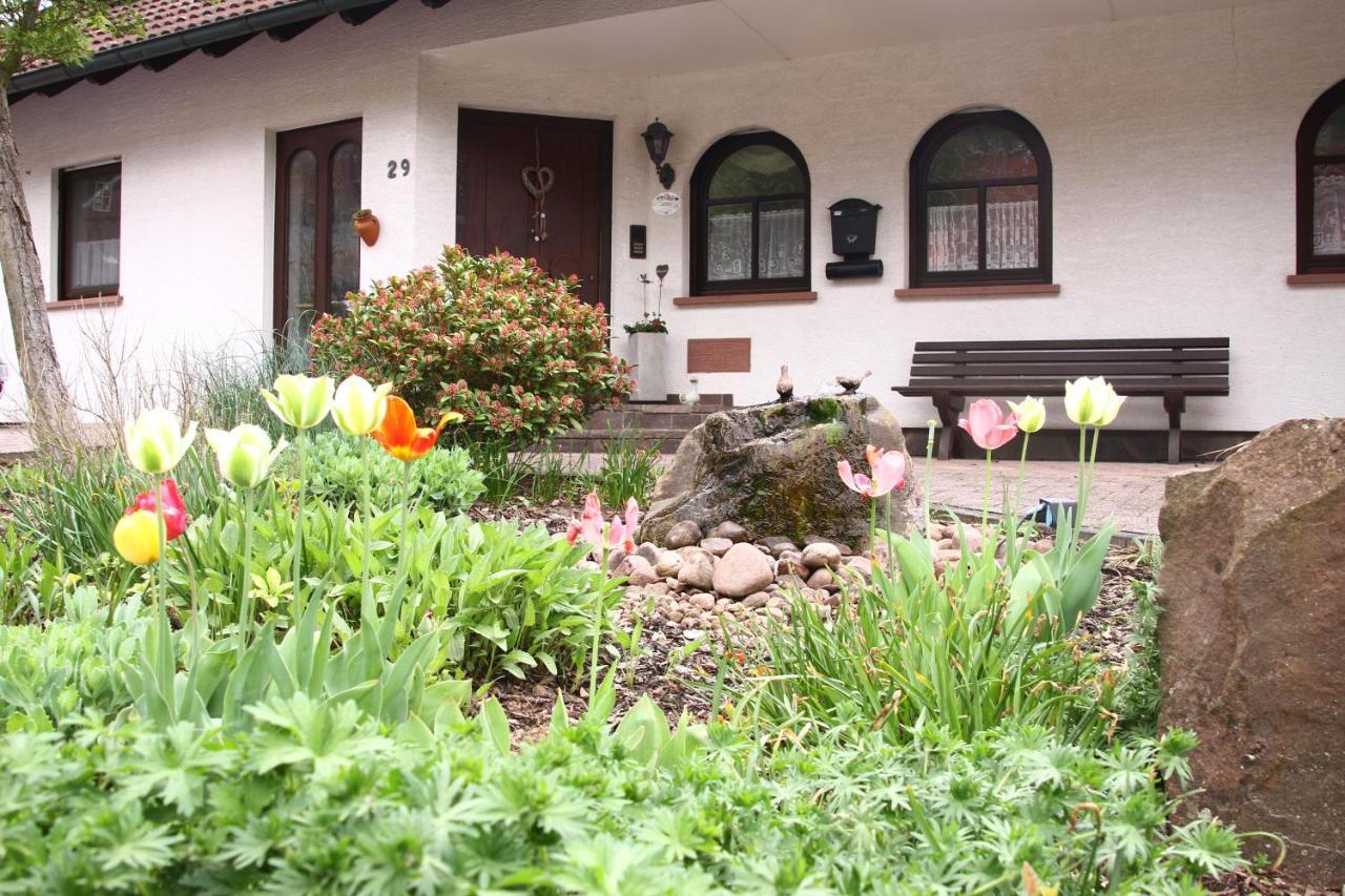 Ferienwohnungen Haus Albert Grossheubach Экстерьер фото