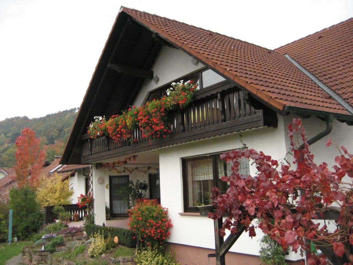 Ferienwohnungen Haus Albert Grossheubach Экстерьер фото
