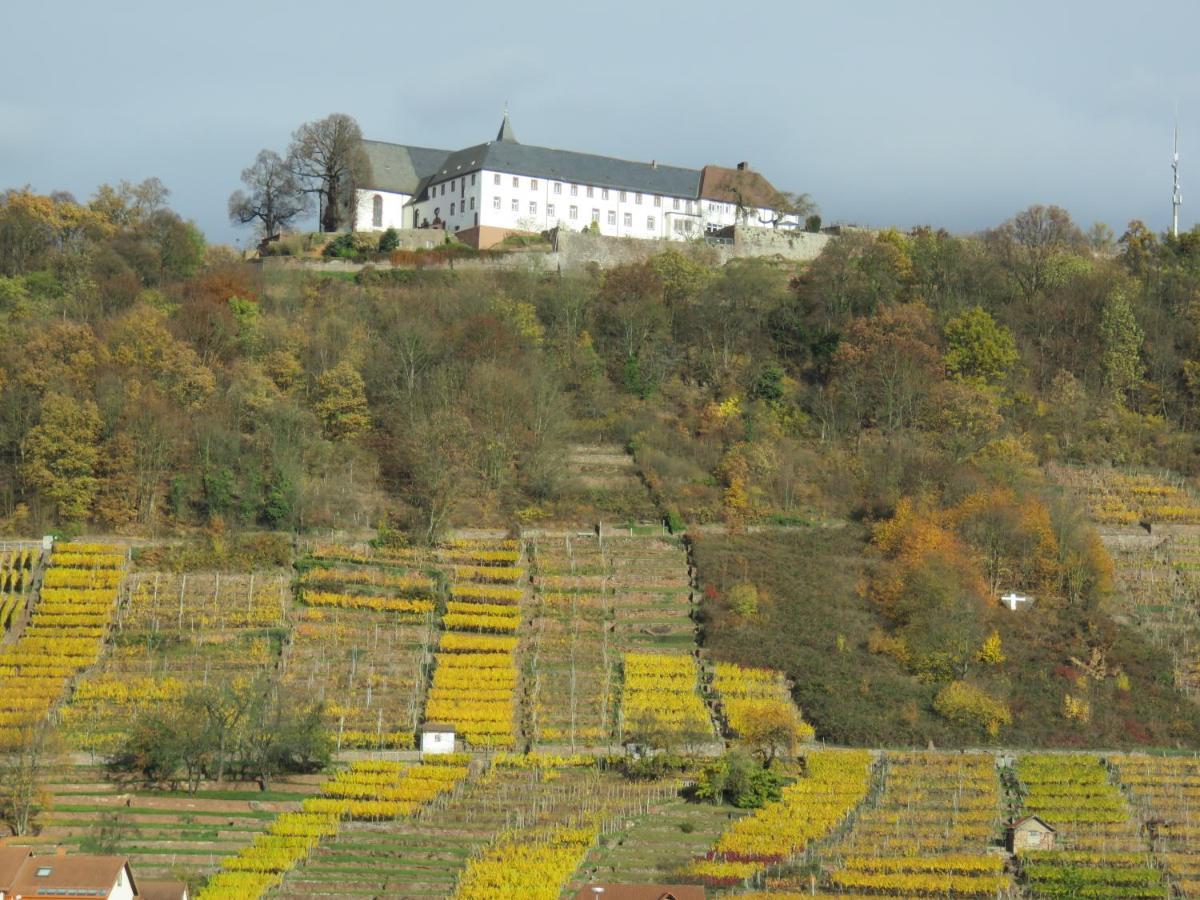 Ferienwohnungen Haus Albert Grossheubach Экстерьер фото