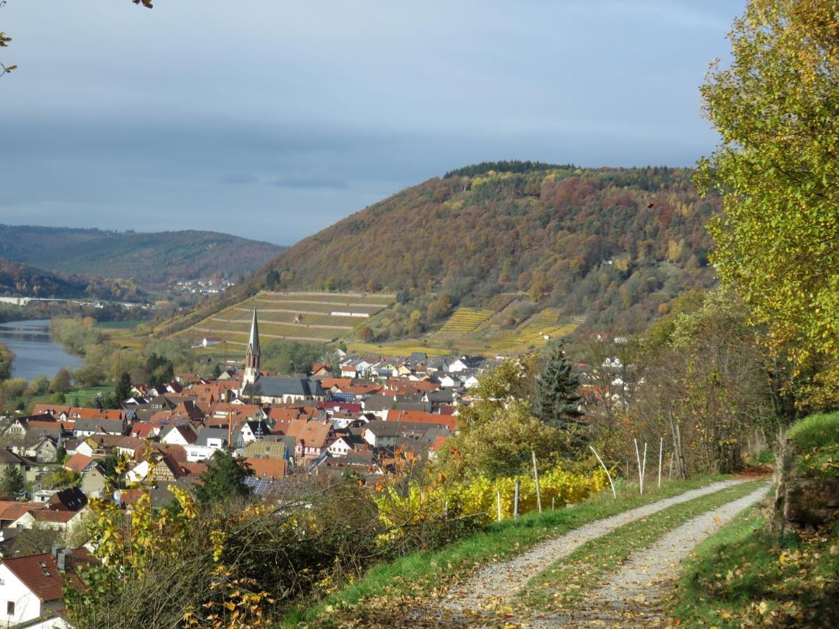 Ferienwohnungen Haus Albert Grossheubach Экстерьер фото
